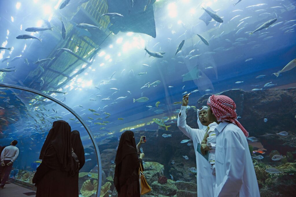 Underwater Zoo and Dubai Aquarium, Dubai, UAE