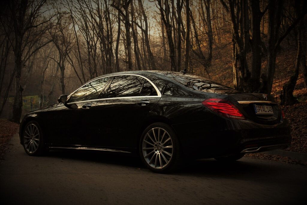 Black Mercedes, S class, back view, standing in forest